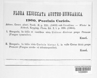 Puccinia caricis image